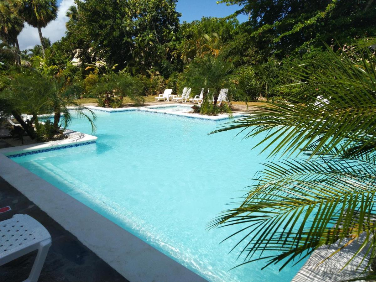 Hotel Coco Plaza Las Terrenas Εξωτερικό φωτογραφία